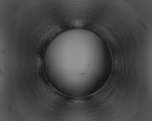 X0000090480555200708031127