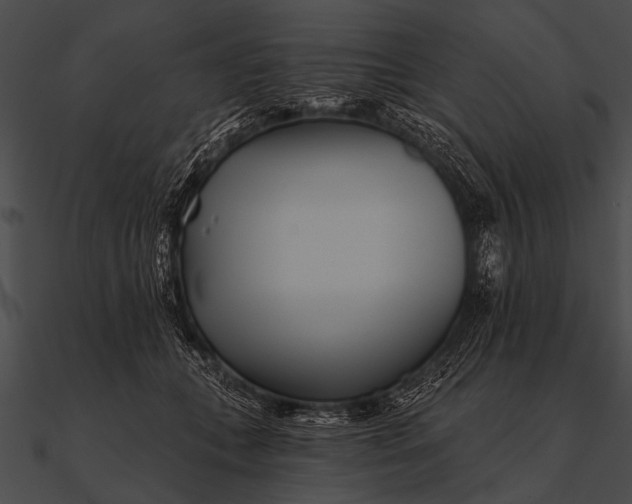X0000090480559200708031127