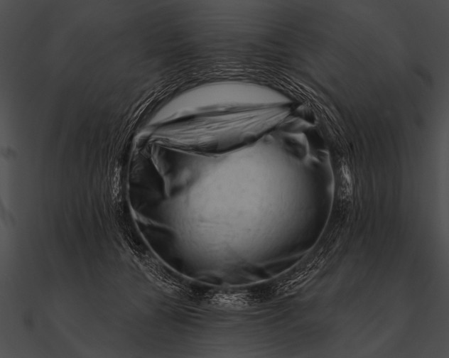 X0000090480560200708031127