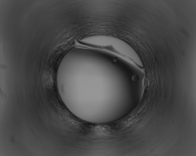 X0000090480566200708031127