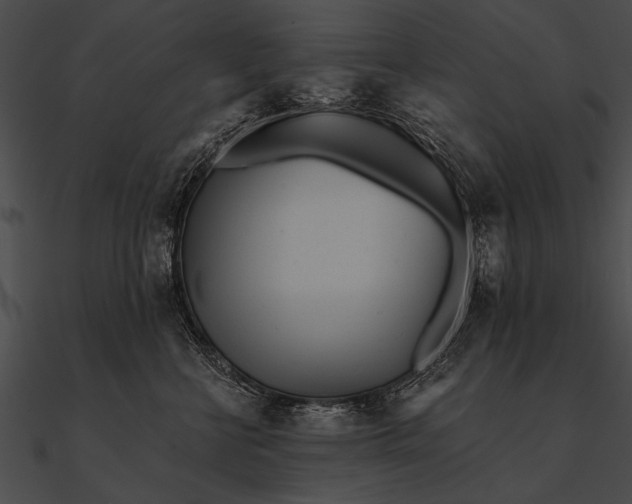X0000090480570200708031127