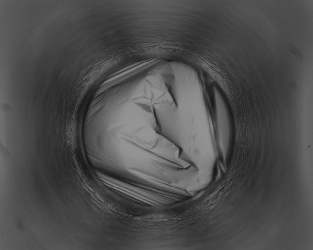 X0000090480578200708031126