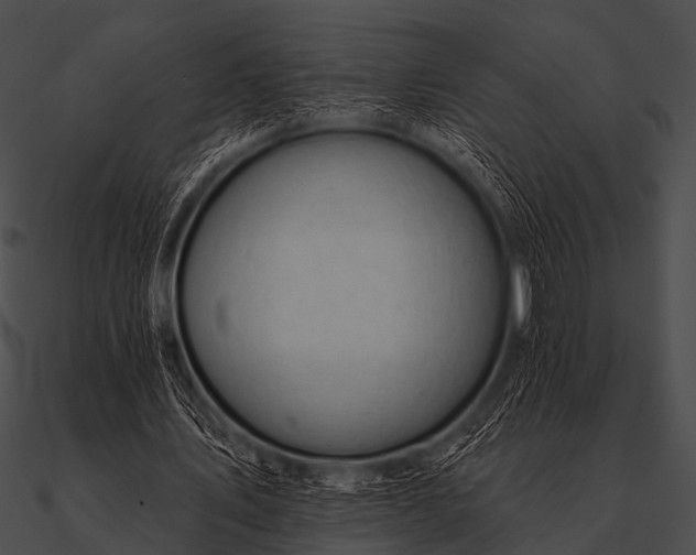 X0000090480579200708031126