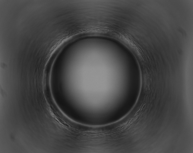 X0000090480580200708031126