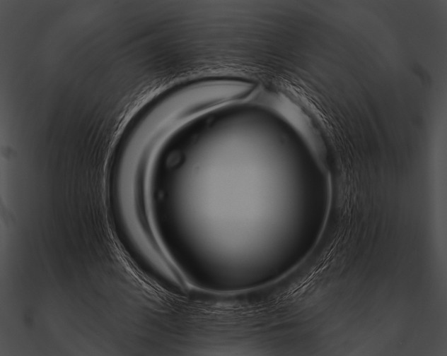 X0000090480584200708031126