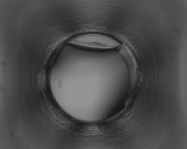 X0000090480588200708031126