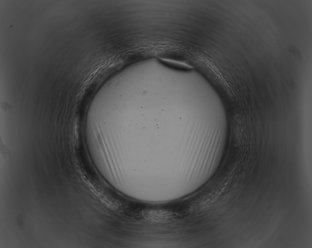 X0000090480590200708031126