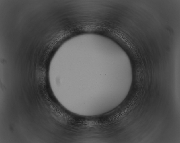 X0000090480592200708031126
