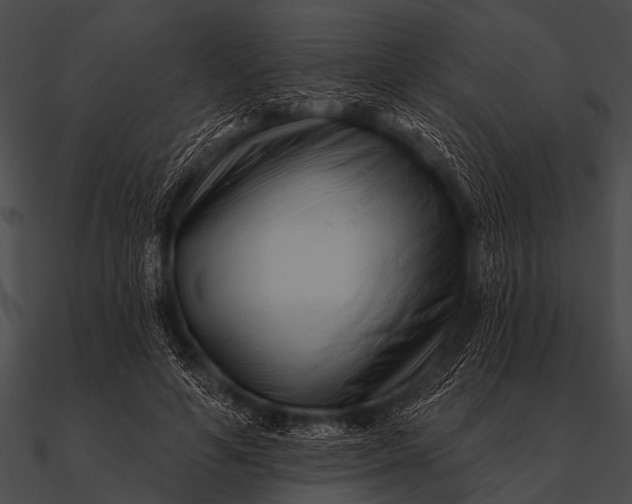 X0000090480594200708031126