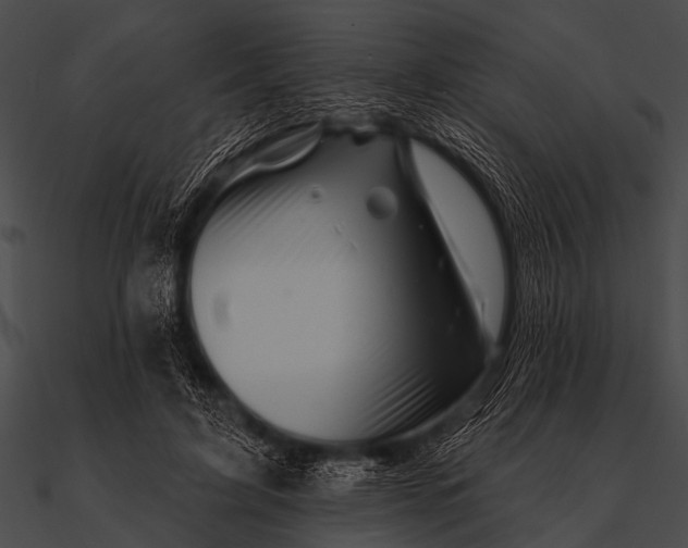 X0000090480595200708031126