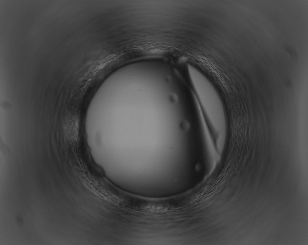 X0000090480596200708031126
