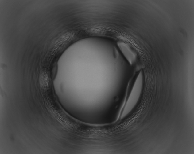 X0000090480597200708031126