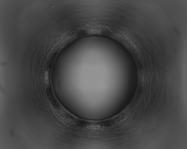 X0000090480598200708031126