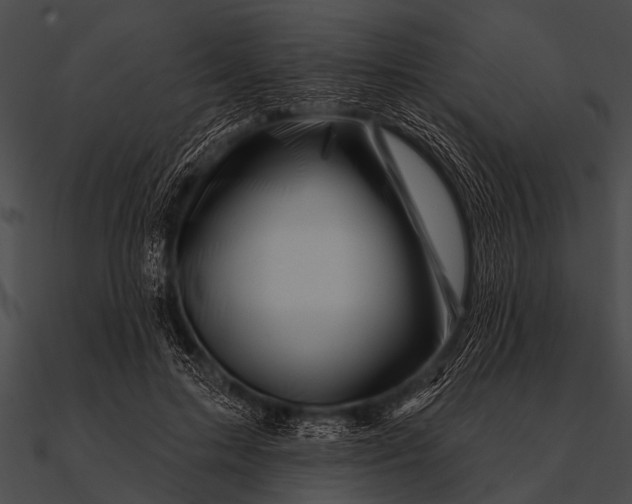 X0000090480599200708031126