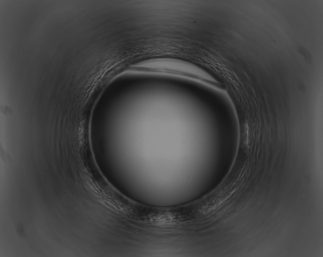 X0000090480600200708031126