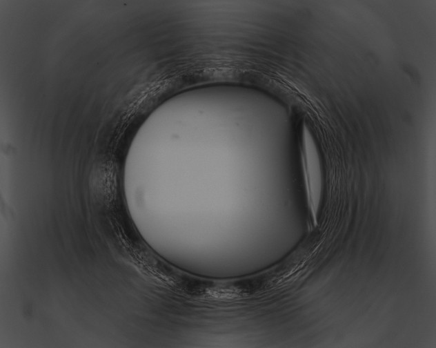 X0000090480603200708031126
