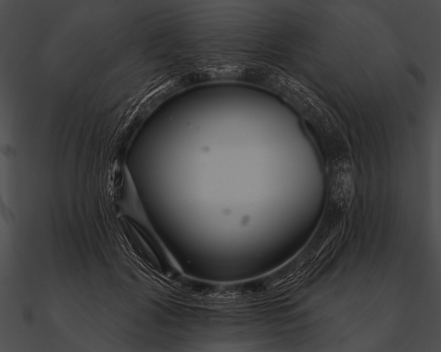 X0000090480604200708031126