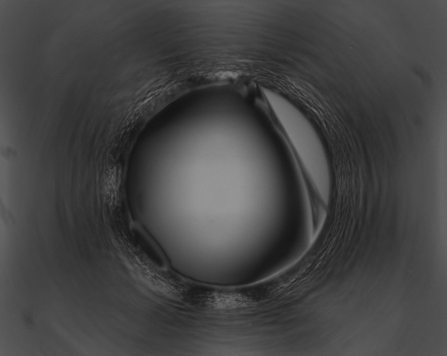 X0000090480605200708031126