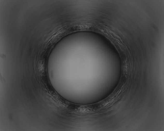 X0000090480608200708031126