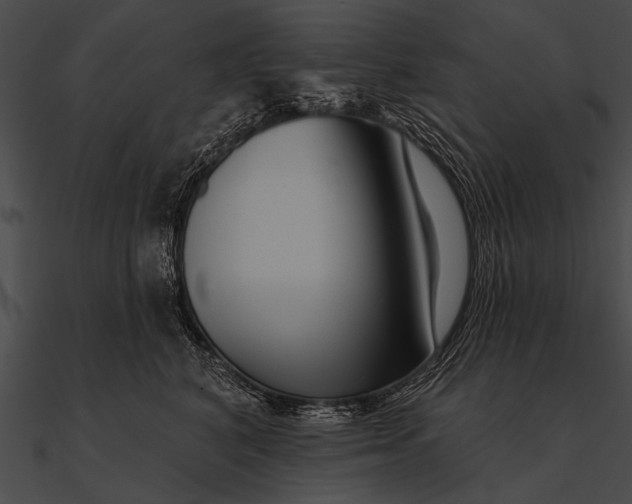 X0000090480616200708031126