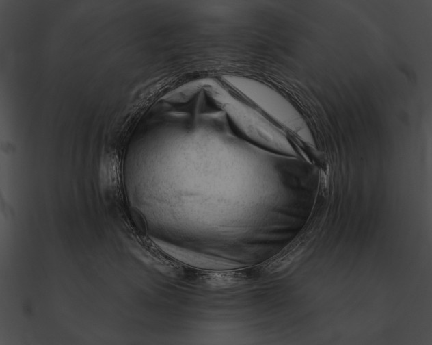 X0000090480623200708031126