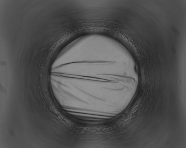 X0000090480625200708031125