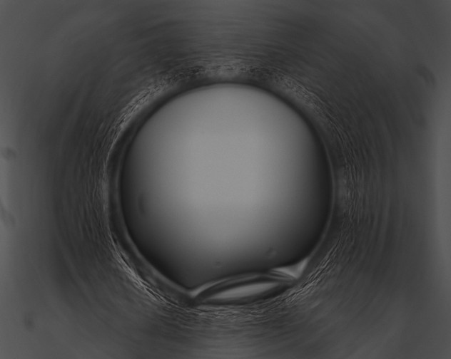 X0000090480626200708031125