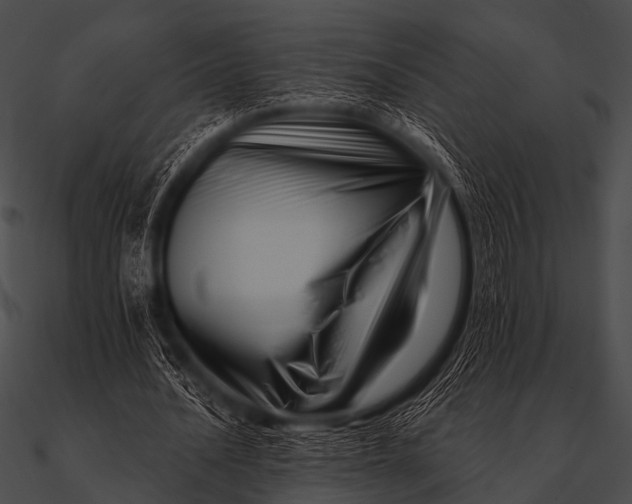 X0000090480628200708031125