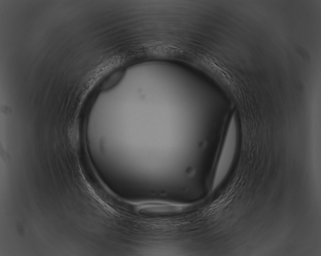 X0000090480630200708031125