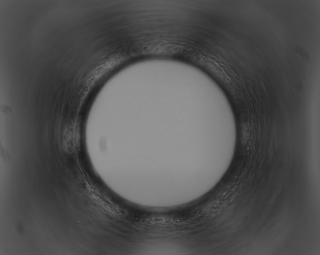 X0000090480632200708031125