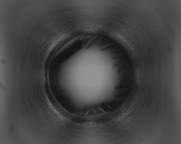 X0000090480634200708031125
