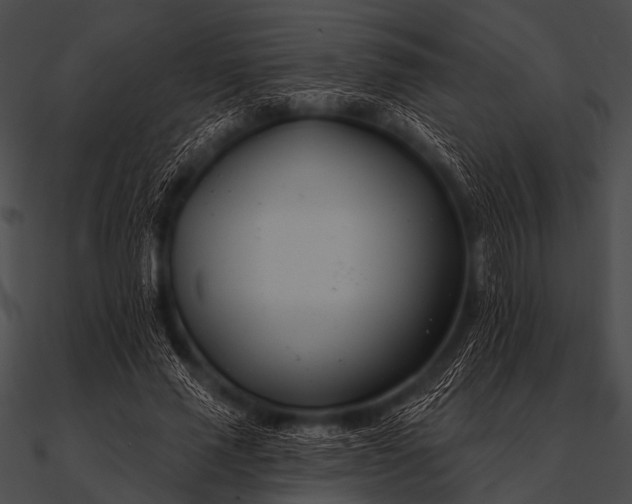 X0000090480637200708031125