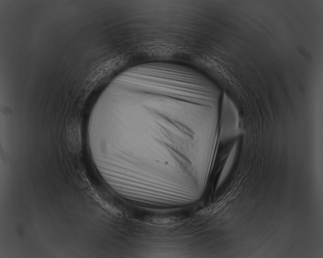 X0000090480638200708031125