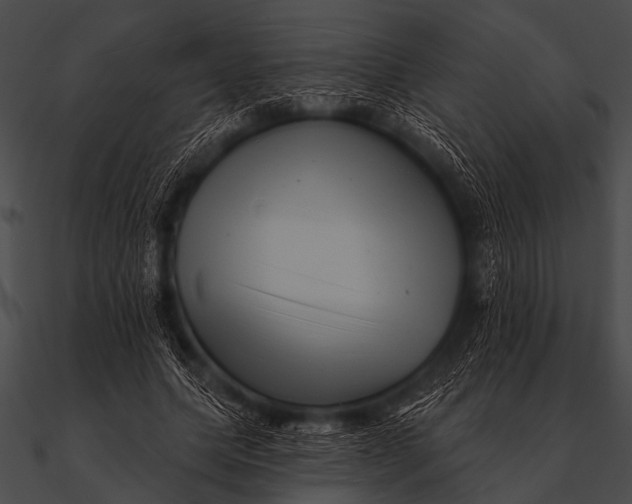 X0000090480639200708031125