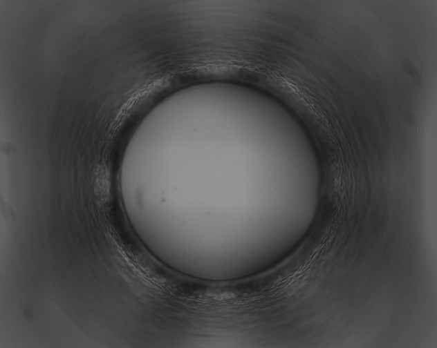 X0000090480640200708031125