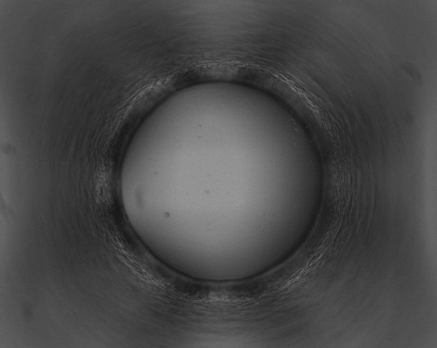 X0000090480641200708031125