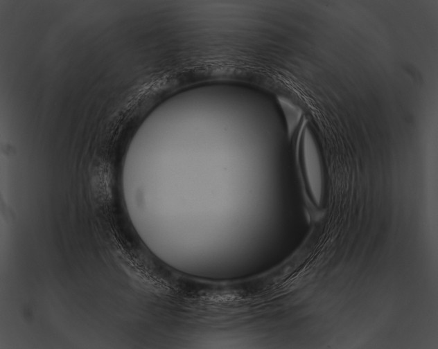 X0000090480643200708031126