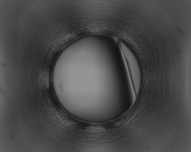 X0000090480644200708031126