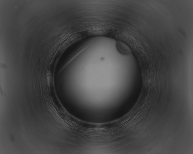 X0000090480647200708031126