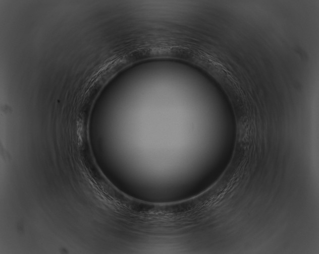 X0000090480648200708031126