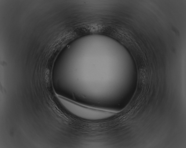 X0000090480650200708031126