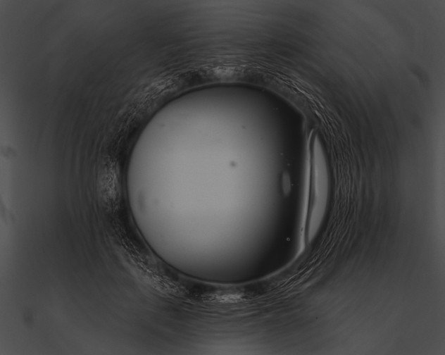 X0000090480651200708031126