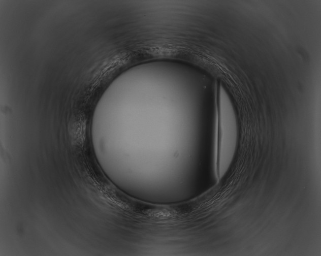 X0000090480652200708031126