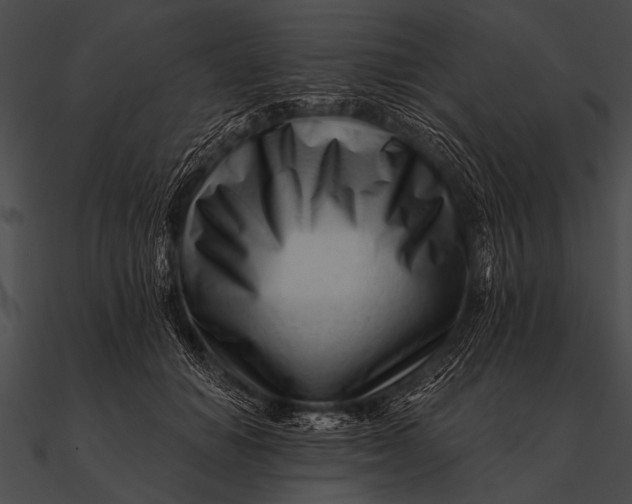 X0000090480654200708031126
