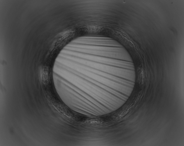 X0000090480655200708031126