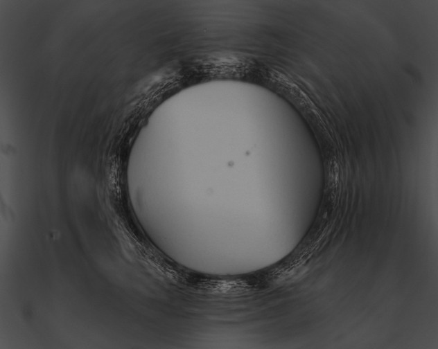 X0000090480663200708031126