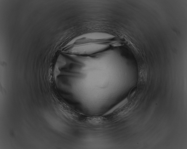 X0000090480671200708031126