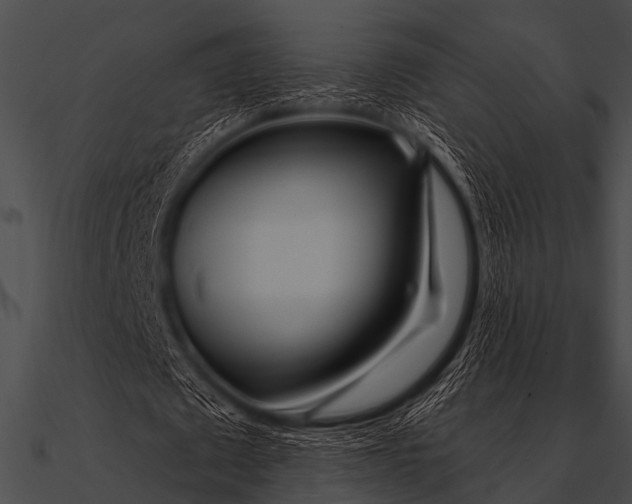 X0000090480673200708031125