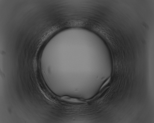 X0000090480674200708031125