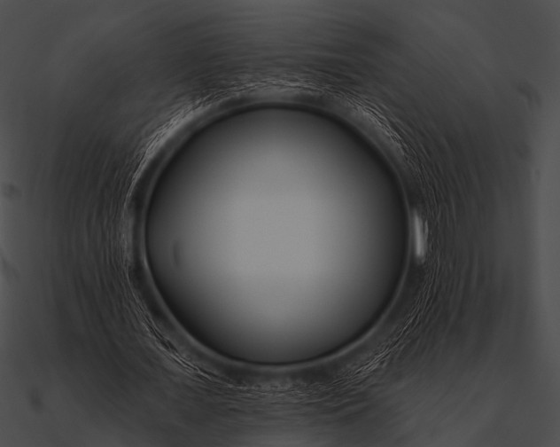 X0000090480675200708031125